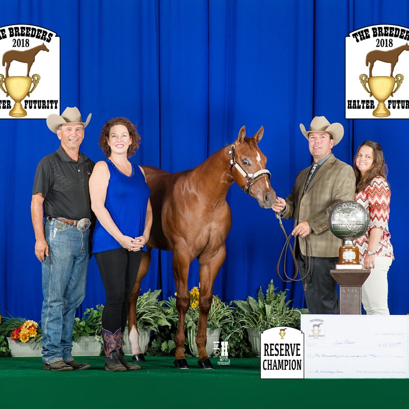 Ecredible Rick Leek Quarter Horses