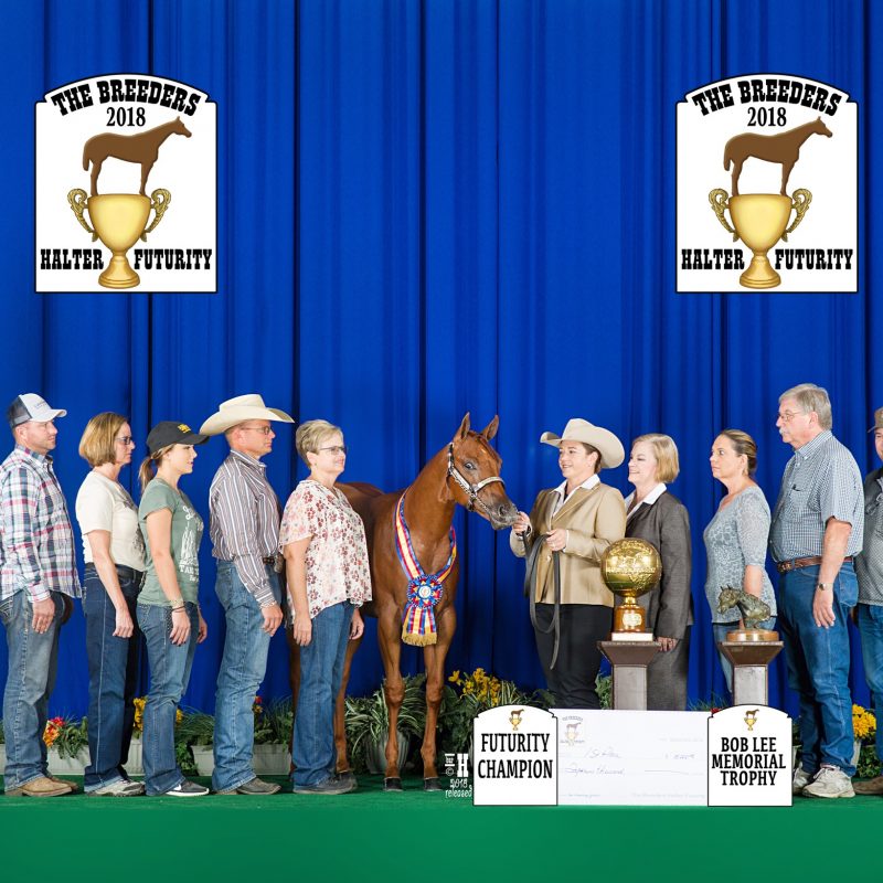 Ecredible Rick Leek Quarter Horses