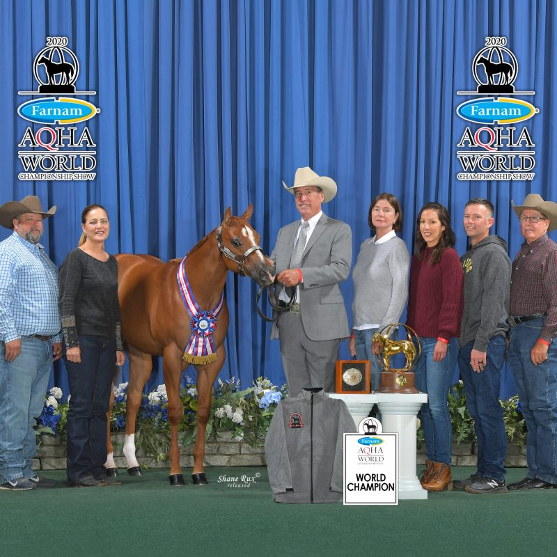 Rick Leek QH Rick Leek Quarter Horses