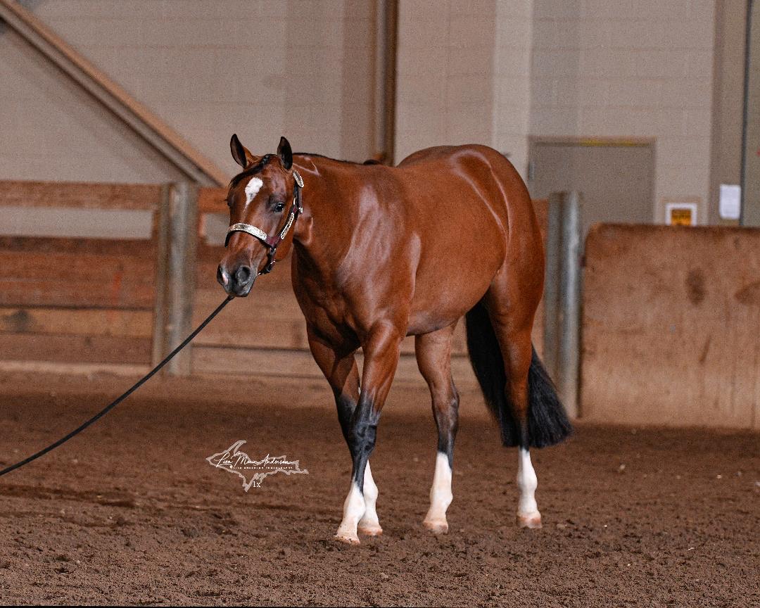 Best Get Your Wallet Rick Leek Quarter Horses